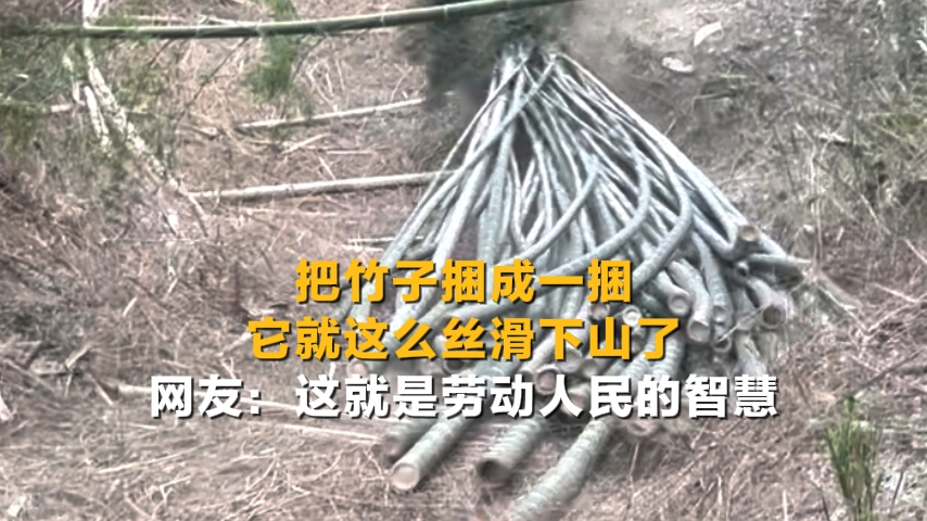 相关图片