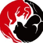 相关图片
