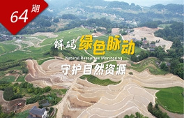 相关图片